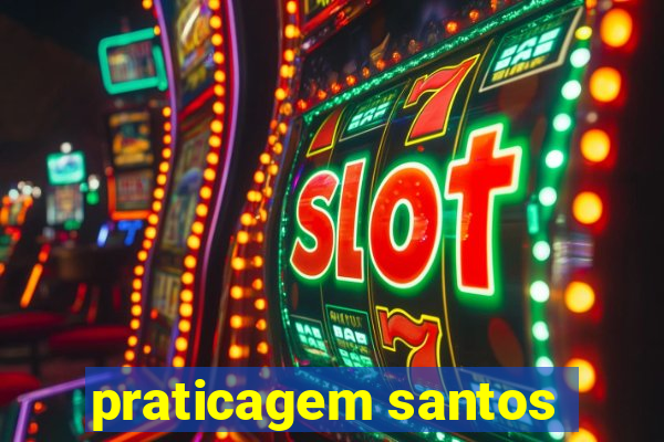 praticagem santos